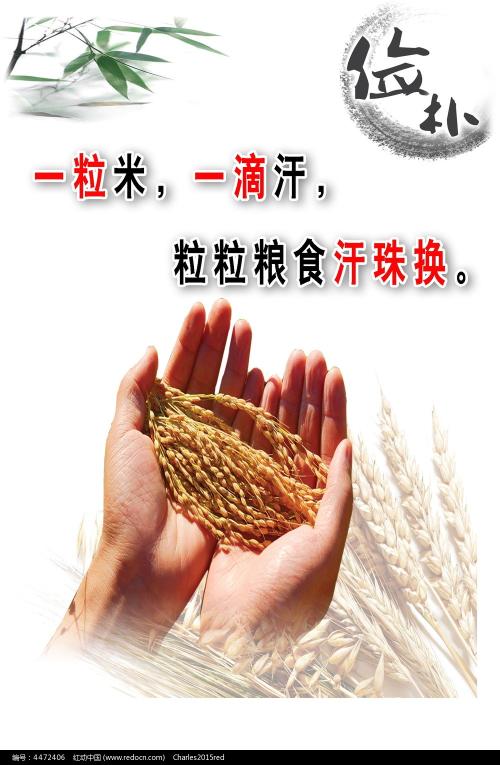 下関市立大学 Diploma